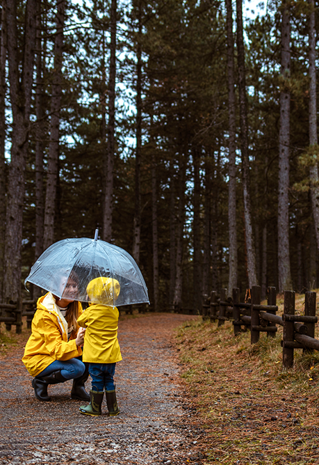 Featured Umbrella Content