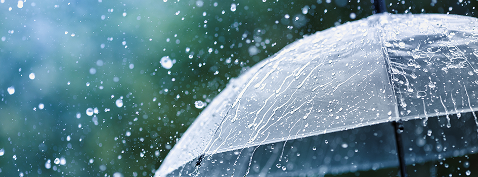 Florida Umbrella insurance coverage